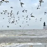 De Swolk Nordseeblick Vom Balkon *
