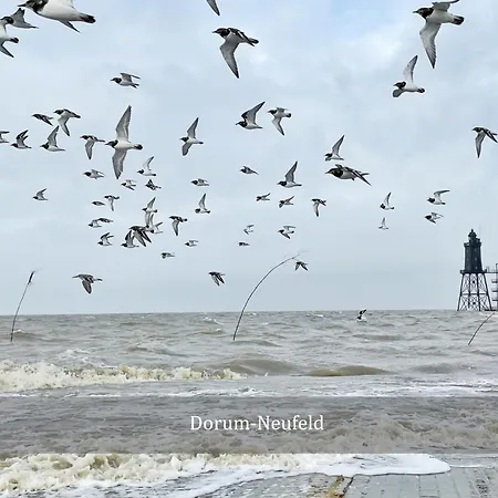 De Swolk Nordseeblick Vom Balkon *